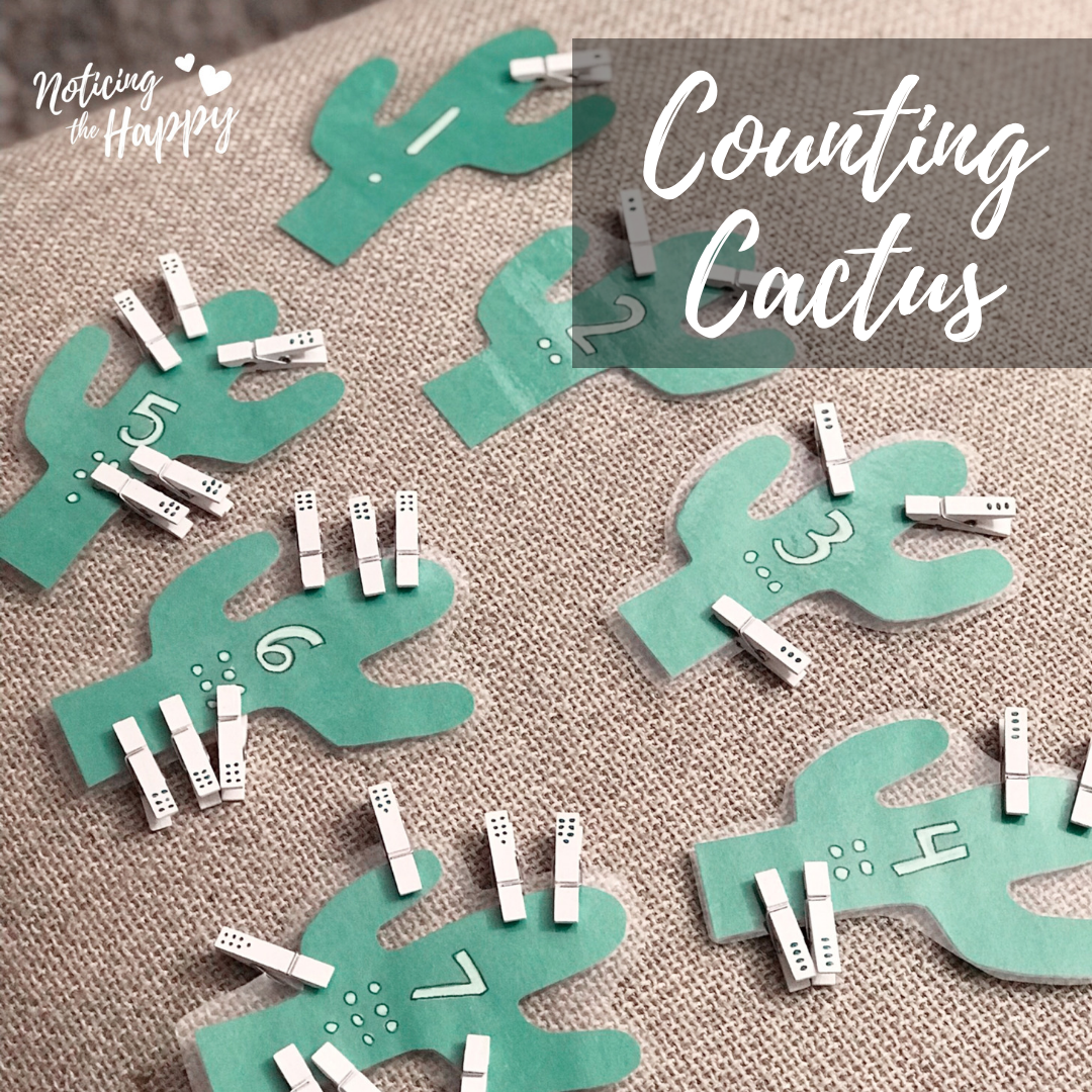 Counting Cactus – Noticing the Happy